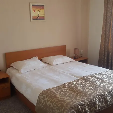 ホテル Friends Family 3*