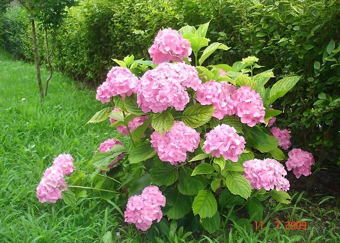 Hotell Friends Family Slăntjev Brjag